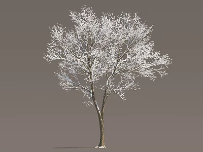 Snow Covered Arbor Tree With White Branches And Brown Trunk On Gray Background 3d model