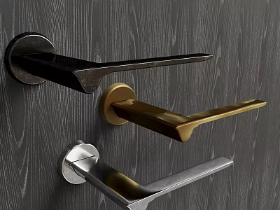 Modern Door Handles in Black Gold and Silver Finishes on Dark Wood Grain Door 3d model