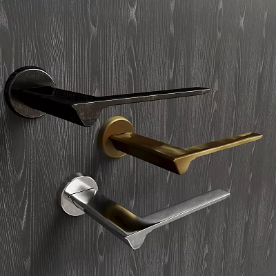 Modern Door Handles in Black Gold and Silver Finishes on Dark Wood Grain Door 3d model