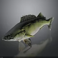 Green And Yellow Fish 3D Model On Dark Background With Reflection Effect