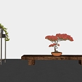 New Chinese Bonsai Bonsai Pine 3d model