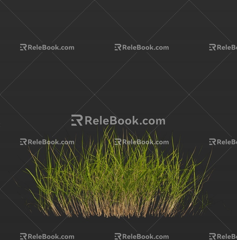 Modern Grass Lawn Grass 3d model