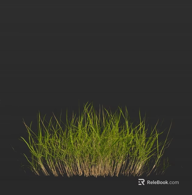 Fresh Green Grass With Lush Tall Blades Growing In Natural Outdoor Setting 3d model 