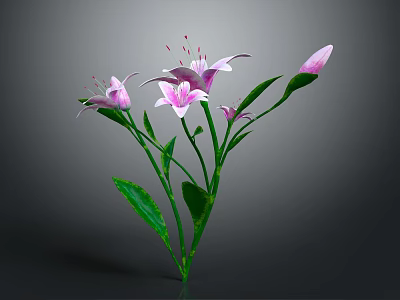 Pink Flowers with Green Stems Leaves and Buds on Gray Background 3d model