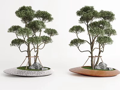 Decorative Tree Planter Design With Multi Branched Trees Stones Gray Concrete And Wooden Bases 3d model