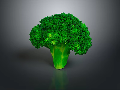 Fresh Green Broccoli Healthy Nutritious Vegetable Perfect for Daily Cooking Recipes 3d model