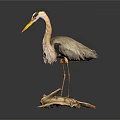 Detailed Gray Heron Sculpture With Long Yellow Beak And Wooden Base