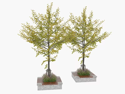 Two Ginkgo Arbor Trees With Green Yellow Leaves In Square Brick Planters And Small Plants 3d model