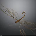 Golden Dragonfly Wire Art Sculpture with Intricate Wings and Curved Body
