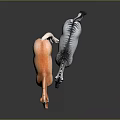 Orange Horse and Zebra Animal Models with Realistic Features on Black Surface