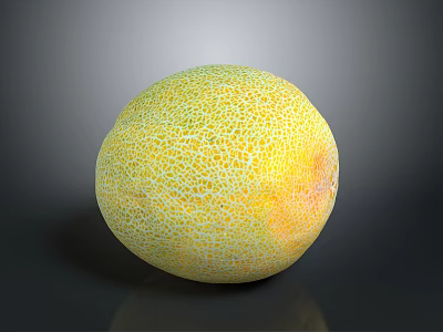 Fresh Ripe Yellow And Green Melon With Net Like Texture On Black Surface 3d model