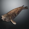 Realistic Seal 3D Model With Brownish Spotted Texture And Sleek Body On Dark Background