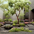 Modern Villa Courtyard Garden Plant Landscaping Flowers and Plants Landscape Trees Plant Landscape Tingbu Water Pot Waterscape Plant Combination 3d model