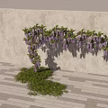 Wisteria Vine Archway Against Gray Wall On Paved Walkway With People Walking Taking