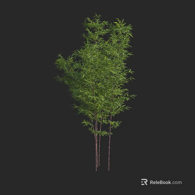 Bamboo Plants With Green Leaves And Multiple Slender Poles In Natural Growth 3d model 