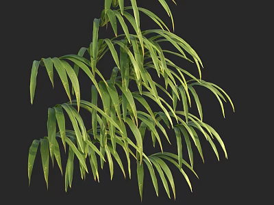 Vibrant Aquatic Plants With Long Slender Green Leaves In Natural Habitat 3d model