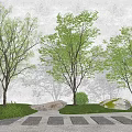 Modern Tree Landscape Tree 3d model