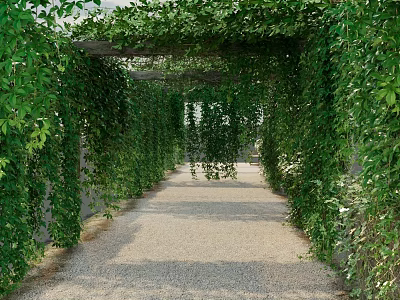 Lush Green Vines Covered Arched Pergola With Gravel Path And Sunlight Filtering 3d model