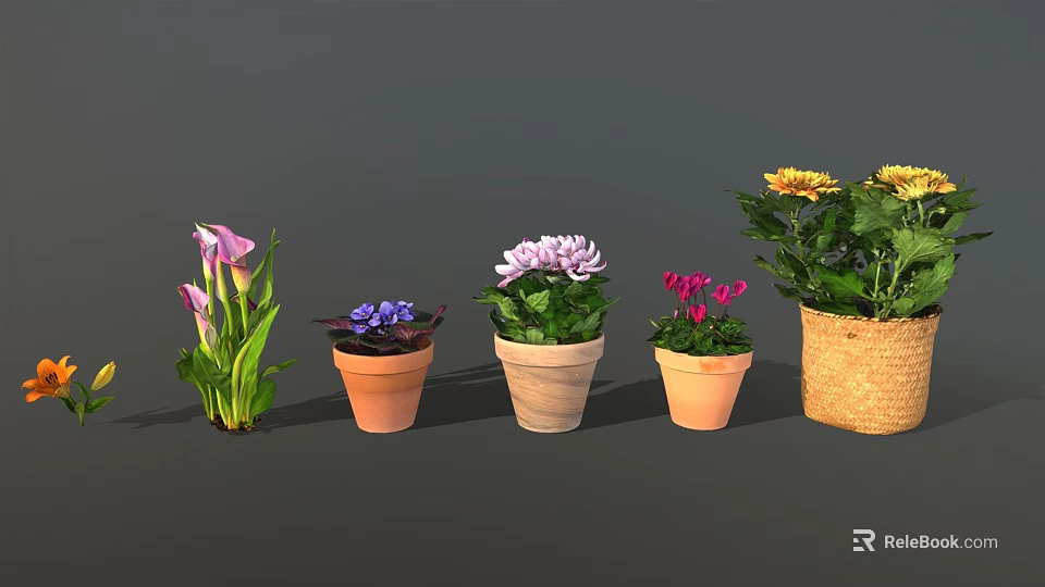 Colorful Garden Decor With Various Potted Flowers And Ceramic Woven Planters 3d model 
