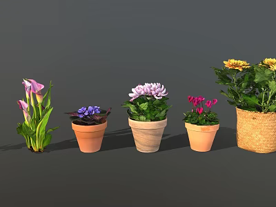 Colorful Garden Decor With Various Potted Flowers And Ceramic Woven Planters 3d model