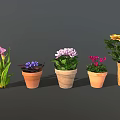 Colorful Garden Decor With Various Potted Flowers And Ceramic Woven Planters