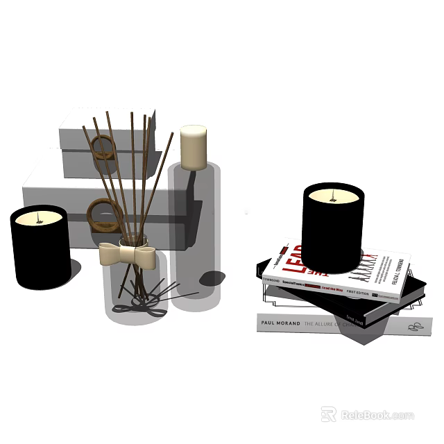 Stylish Bathroom Accessories With Reed Diffuser Candles And Decorative Books 3d model 