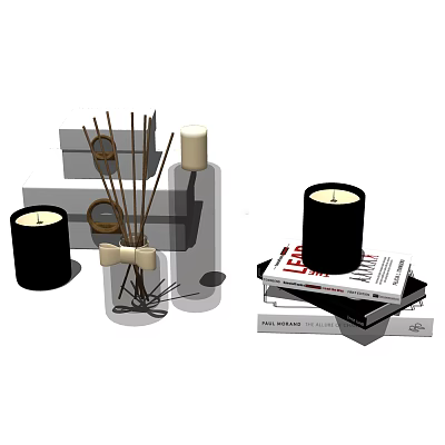 Stylish Bathroom Accessories With Reed Diffuser Candles And Decorative Books 3d model