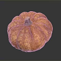 Fresh Orange Ripe Pumpkin With Textured Surface On Dark Background