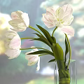 Transparent Glass Vase With White Flowers And Small Clear Containers On Table