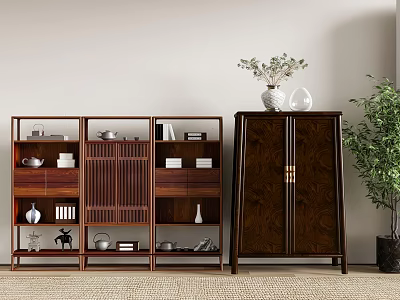 Elegant Wooden Open Bookcase With Closed Cabinet Vase And Potted Plant On Rug 3d model