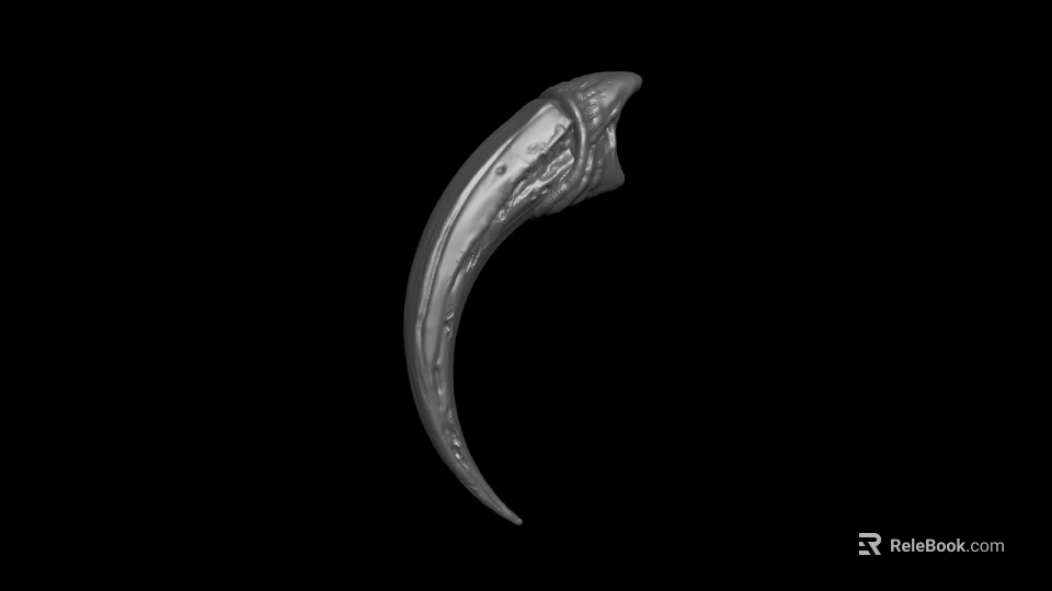 Detailed Silver Curved Claw Shaped Decorative Metal Object On Black Background 3d model 
