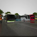 Various Types and Colored Buses Parked Outdoors After Rain With Puddles Blue Sky and Trees
