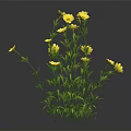 Vibrant Plant Featuring Lush Green Leaves And Several Bright Yellow Flowers