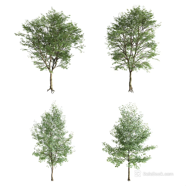 Various Arbor Tree Types With Lush Green Foliage And Natural Trunks 3d model