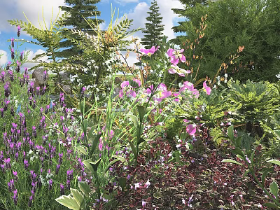 Lush Green Shrubs With Purple And Pink Flowers In Natural Garden Landscape 3d model