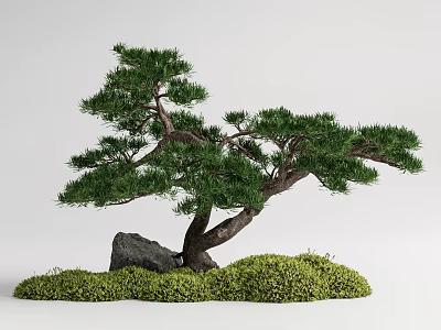 Artistic Bonsai Arbor With Curved Trunk Green Foliage And Mossy Stone Base 3d model