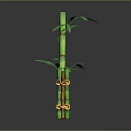 Decorative Green and Orange Bamboo Fences Tied with Ropes and Bamboo Plant