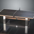 Modern Ping Pong Table Sports Equipment With Metal Frame And Wooden Tabletop