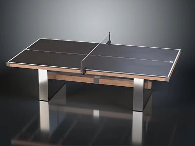 Modern Ping Pong Table Sports Equipment With Metal Frame And Wooden Tabletop 3d model