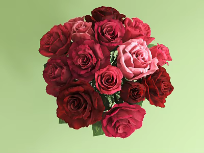 Beautiful Red and Pink Roses Floral Arrangement in Vase on Light Green Background 3d model