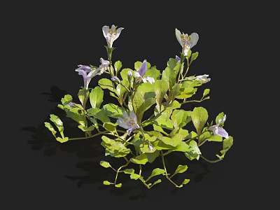Elegant Vase with White and Purple Flowers and Green Leaves on Black Background 3d model