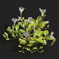 Elegant Vase with White and Purple Flowers and Green Leaves on Black Background