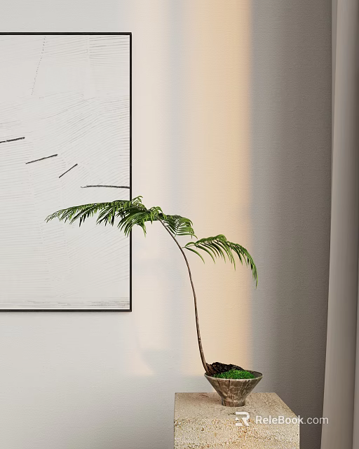 Lush Green Fern Plant in Indoor Setting with White Canvas and Light Wall Background 3d model 