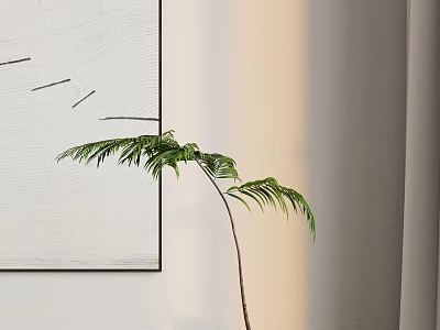 Lush Green Fern Plant in Indoor Setting with White Canvas and Light Wall Background 3d model