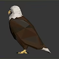 Low Poly Eagle Model With White Head Yellow Beak Claws Brown Body On Gray Background 3d model