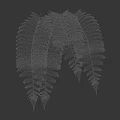 Green Ferns Displayed on White Cube with Black Background and Measurement Scale