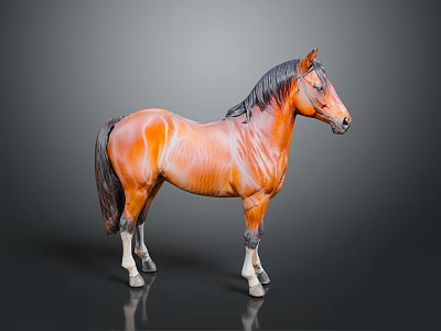 Brown Horse Standing With Black Mane Tail And White Hooves On Gray Background 3d model