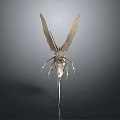 Detailed 3D Rendered Insect Model With Large Wings Slender Body And Antennae