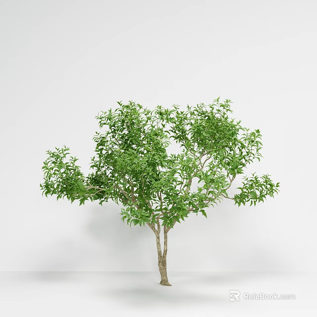 Lush Green Leafy Arbor With Brown Trunk Against Plain White Background 3d model