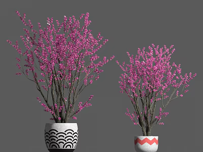 Bonsai Plants with Pink Blossoms in Stylish Black White and Red White Wave Pattern Planters 3d model